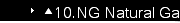 ?10.NG Natural Gas Burners