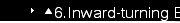 ?6.Inward-turning Burners