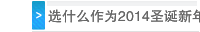 选什么作为2014圣诞新年礼品