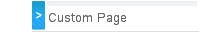 Custom Page