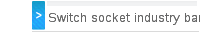 Switch socket industry bargain