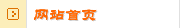 网站首页