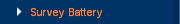 Survey Battery