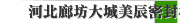 河北廊坊大城美辰密封材料有限公司