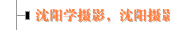 沈阳学摄影，沈阳摄影课摄影群