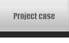 Project case