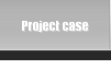 Project case