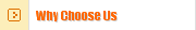Why Choose Us