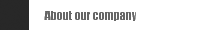 About our company