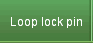 Loop lock pin