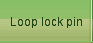 Loop lock pin