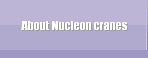  About Nucleon cranes