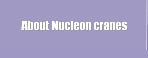  About Nucleon cranes