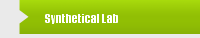 Synthetical Lab