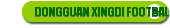 DONGGUAN XINGDI FOOTBALL CLUB