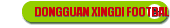 DONGGUAN XINGDI FOOTBALL CLUB