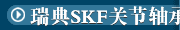 瑞典SKF关节轴承