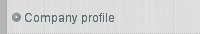 Company profile