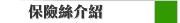 保險絲介紹