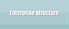 Enterprise structure