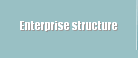 Enterprise structure