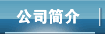 公司简介