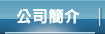 公司簡介