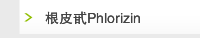 根皮甙Phlorizin