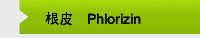 根皮甙Phlorizin