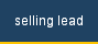 selling lead