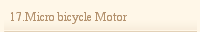 17.Micro bicycle Motor
