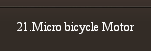 21.Micro bicycle Motor