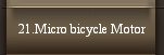 21.Micro bicycle Motor