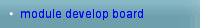 module develop board
