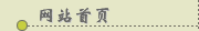 网站首页