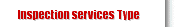 Inspection services Type