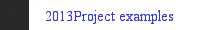 2013Project examples  