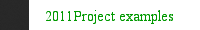2011Project examples 
