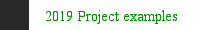2019 Project examples