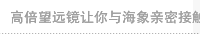高倍望远镜让你与海象亲密接触