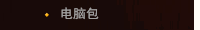 电脑包