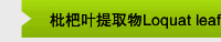 枇杷叶提取物Loquat leaf extract