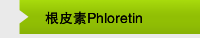 根皮素Phloretin