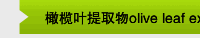 橄榄叶提取物olive leaf extract