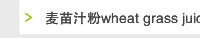 麦苗汁粉wheat grass juice powder
