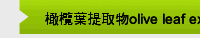 橄欖葉提取物olive leaf extract