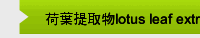 荷葉提取物lotus leaf extract