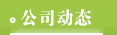 公司动态
