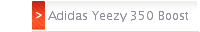 Adidas Yeezy 350 Boost