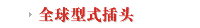 全球型式插头